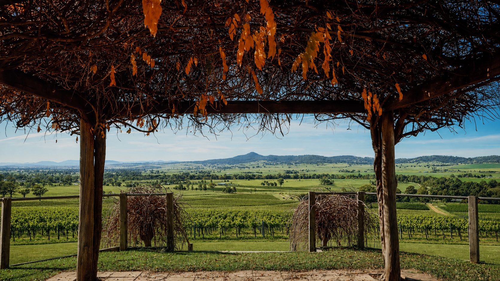 Vineyard views over the Upper Hunter near Denman